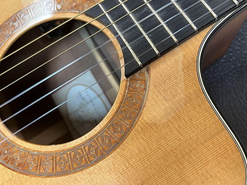Taylor NS32ce エレガットギター ハードケース付 テイラー 本物 値段 