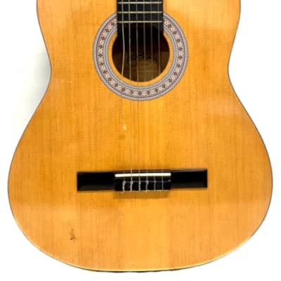 Burswood Guitar - Acoustic Esteban Spanish/Classical Guitar image 1
