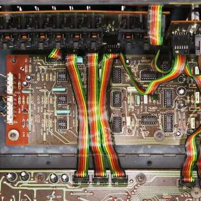 1983 Siel Cruise Vintage Analog Synthesizer Keyboard Rare Mono Synth Poly Hybrid Made in Italy image 19