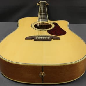 Alvarez Fusion Series FDT410C-12 Ac/El 12 String Thinline Dreadnought Guitar image 4