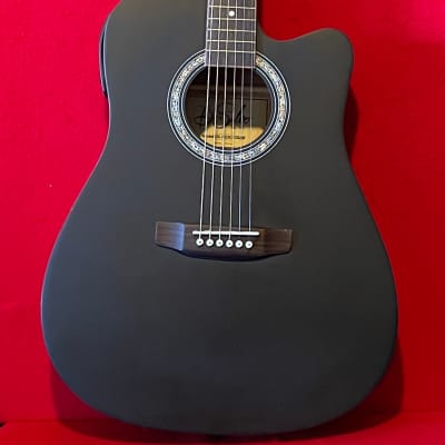 DeSalvo Acoustic Electric Guitar for sale