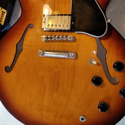 Gibson ES-335 Limited Edition 2001 - Rare Ebony fretboard image 20