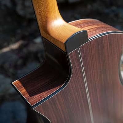 Salz Guitars PS 2023 - Swiss moon spruce & Indian rosewood image 7