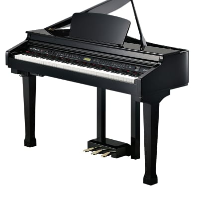 Kurzweil - Digital Piano! KAG-100 *Make An Offer*