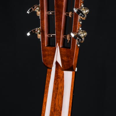Collings 001 12-Fret All Mahogany NEW image 23