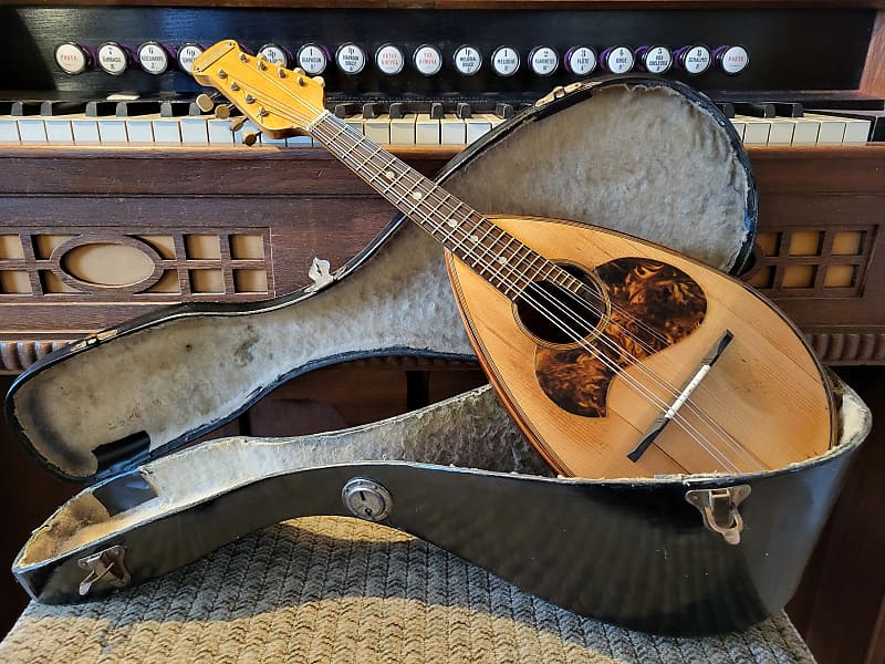 フラテリ ヴィナッチャ マンドリン Fratelli Vinaccia 24 TOP-Fratelli Vinaccia-Mandolin-Napoli(1927)-restored | Reverb France