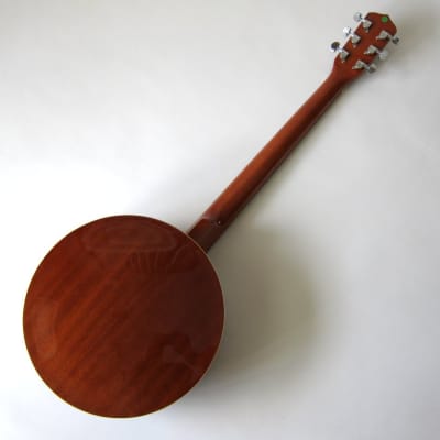 Trinity River PRB600 Mahogany Resonator 6-String Banjo-Tar w/Remo's Head image 4