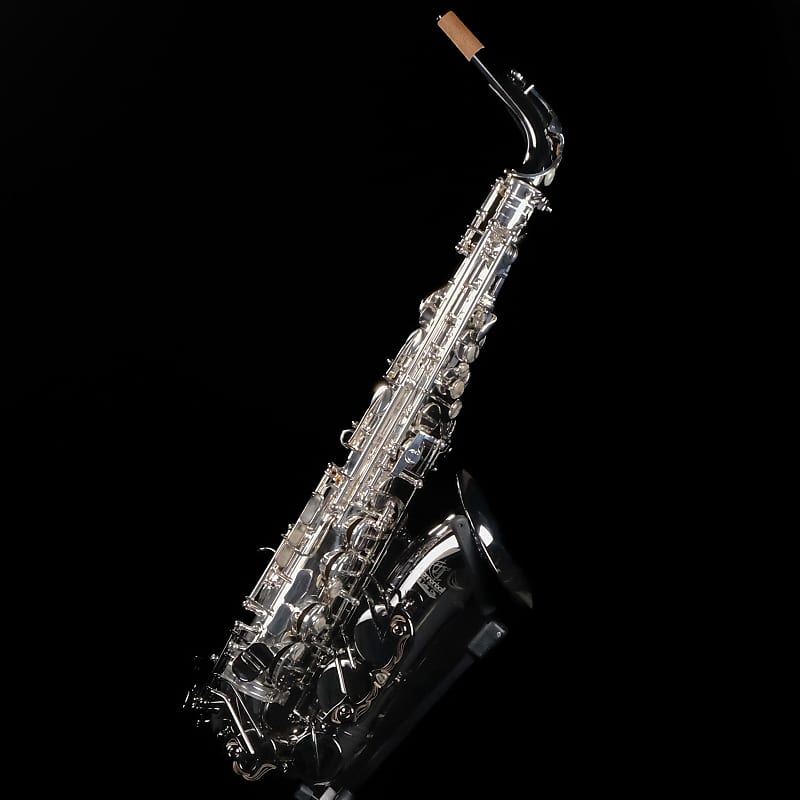 DEMO Cannonball GA5-SB Gerald Albright Signature Series Professional Alto  Saxophone