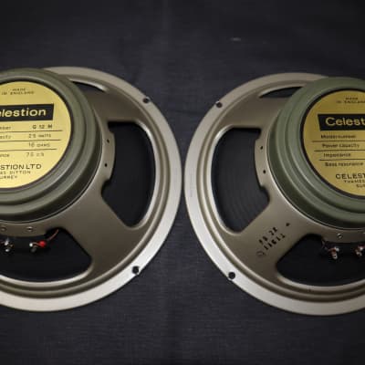 Celestion g10n40 clearance