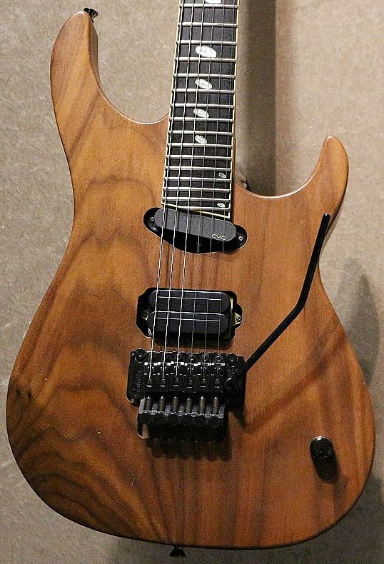 Caparison Horus-HGS[USED][Made in Japan]