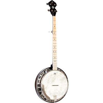 Ortega OBJE400TBL Falcon 5-String Acoustic-Electric Banjo Trans Coal for sale