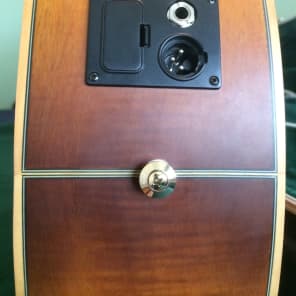 Ibanez Vine acoustic-electric solid wood beauty image 8