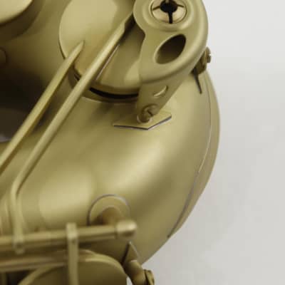 Antigua Winds Model TS4248CB 'Powerbell' Tenor Saxophone in Classic Brass Finish BRAND NEW image 12