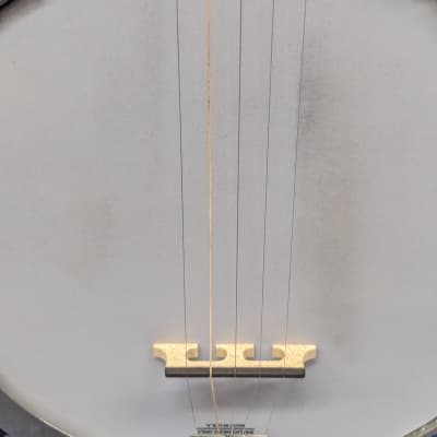 Gold Star GF-100FE 5-String Resonator Banjo with Flying Eagle Inlay image 2