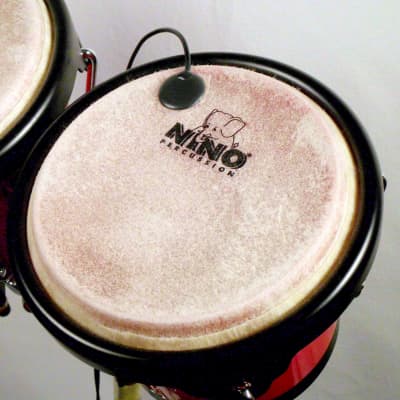 Peak+Hold incl. pickup - live percussion processor - banana version Helene image 13