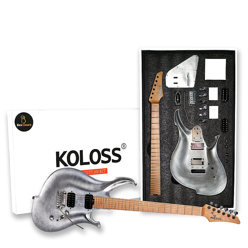 BexGears DIY Electric Guitar Kits Chambered Aluminum Body Reverb