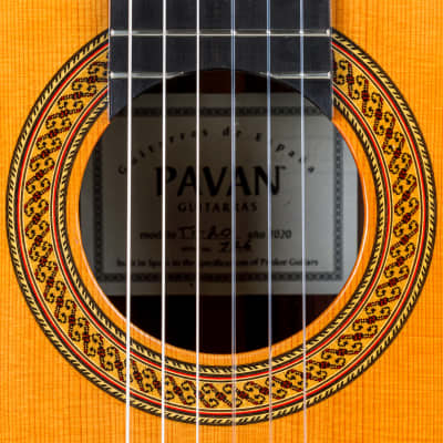 Pavan TP-20  Cedar Spanish Classical Guitar image 5