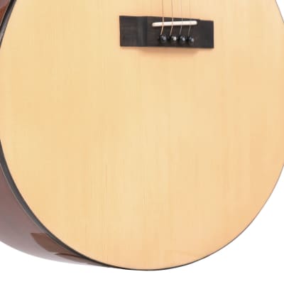 Gold Tone TG-10 Mahogany Neck 4-String Acoustic Tenor Guitar with Hard Case image 6