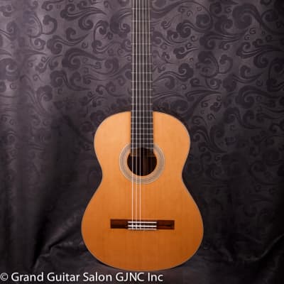Pavel Gavryushov Concert Classical Guitar 2021 for sale