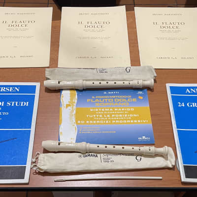 CE Winds alto Legacy resin Studio Series M2 - CE Winds