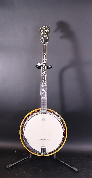 Ibanez artist outlet banjo