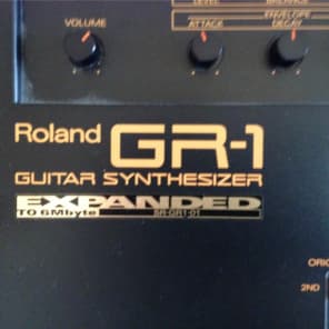 Roland GR-1 with Expansion Kit and Patch Card image 2