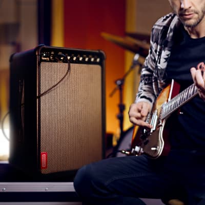 Positive Grid Spark LIVE - 4-Channel Smart Amp & PA System image 8