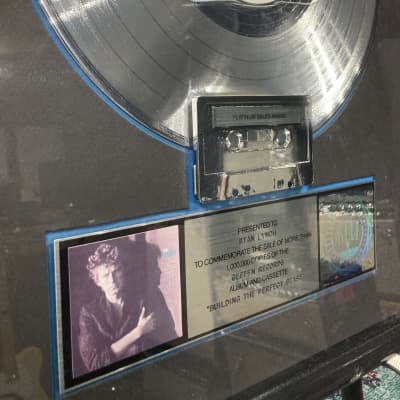 Stan Lunch Don Henley, RIAA, Building the Perfect Beast, Platinum Record (#1) image 5