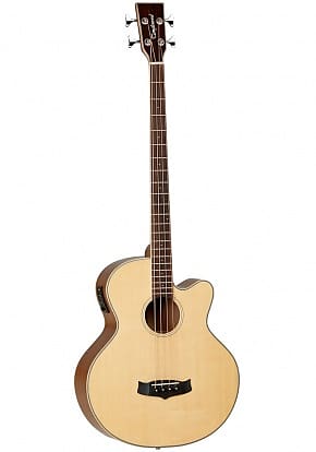 Tanglewood Winterleaf Series TW8 Electro-Acoustic Bass Guitar image 1