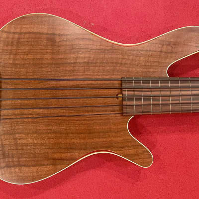 Rob Allen MB-2 5-String Semi Hollow Fretless Bass Guitar image 1