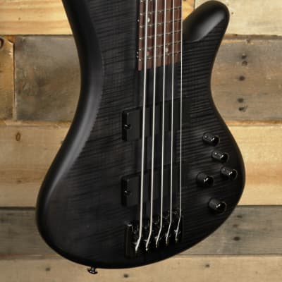 Schecter Stiletto Studio-5 5-String Bass See-Thru Black Satin image 1