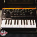 Korg Monologue Analog Synthesizer, Black - Floor Model
