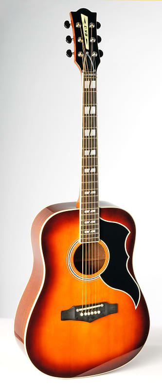 シ*ン様 エレアコ　EKO Ranger VI VR　Honey Burst E RANGER VI VR Honey burst