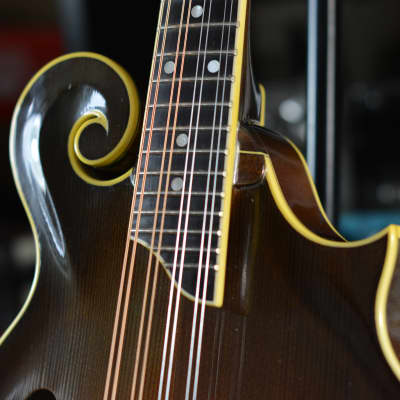 Lebeda F5 Standard+ Mandolin 2005 - Tobacco Sunburst image 7