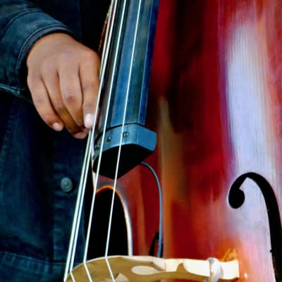 K&K Sound Bass Master RB SOLO Rockabilly Upright Bass