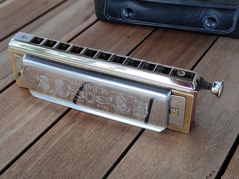  harmonicas for adults 28 Hole Accented Harmonica Adult Leather  Case To Play Harmonica Musical Instrument (Color : Gold) : Musical  Instruments