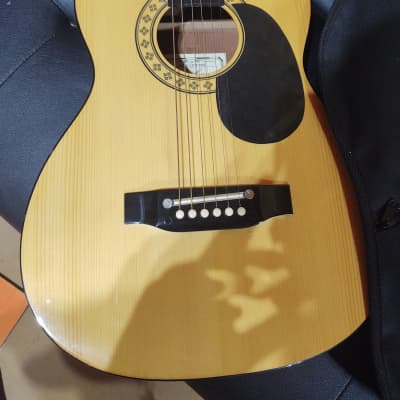 Hohner Hw03 acoustic guitar image 2