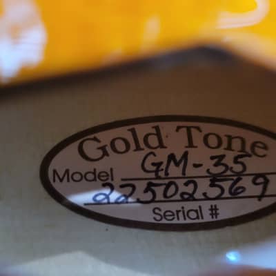 Gold Tone GM-35 F Style Mandolin with case - Tobacco Sunburst image 7