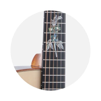 Merida Extrema A18GAC  Acoustic Guitar Flower version image 4