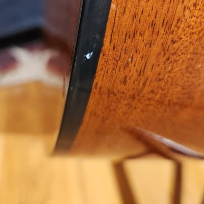 Fender DG-14S/12 12-String Acoustic Natural New Strings image 20