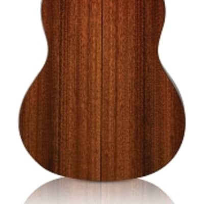 Cordoba C5 CD Classical Guitar Cedar/Mahogany image 3