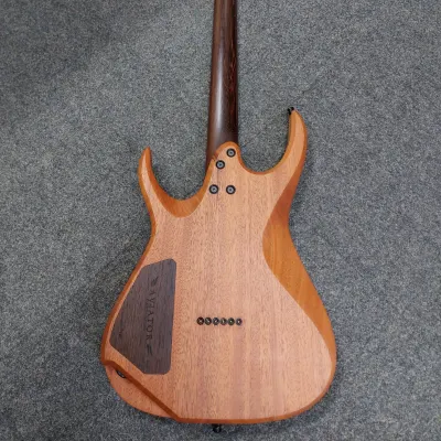 Aviator Guitars Predator 6 2018 Poplar Burl / Charcoal Burst
