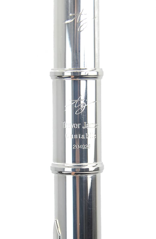 Trevor James Cantabile Flute | Reverb