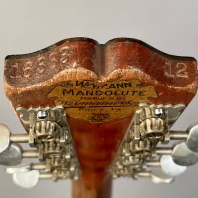 Weymann Style 12 Mando-lute Mandolin 1925 image 24