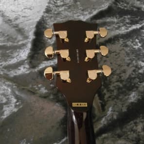 GRASS ROOTS by ESP G-LP-55C 