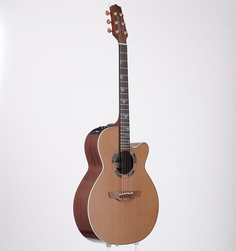 DSF46C タカミネ　エレアコ 楽天市場】Takamine DSF46 新品 ワールドスタンダード