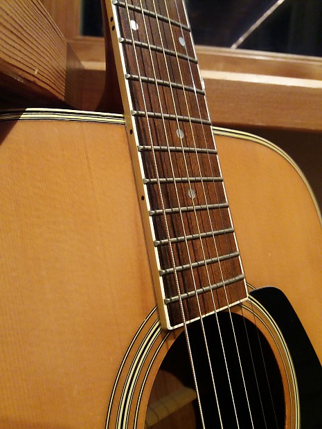 Morris MD 505 1980s | Reverb