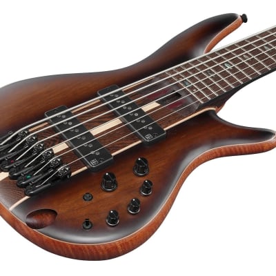 Ibanez Premium SR1356B 6-string Bass Guitar - Dual Mocha | Reverb