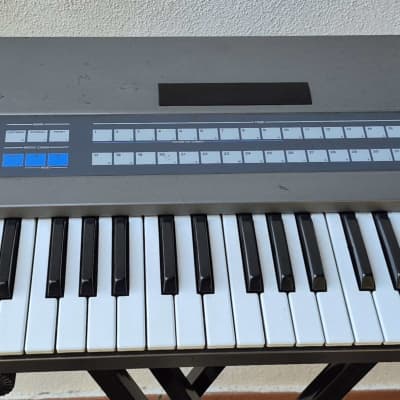 ROLAND JX-8P Vintage Analog Polyphonic Synth JX 8P