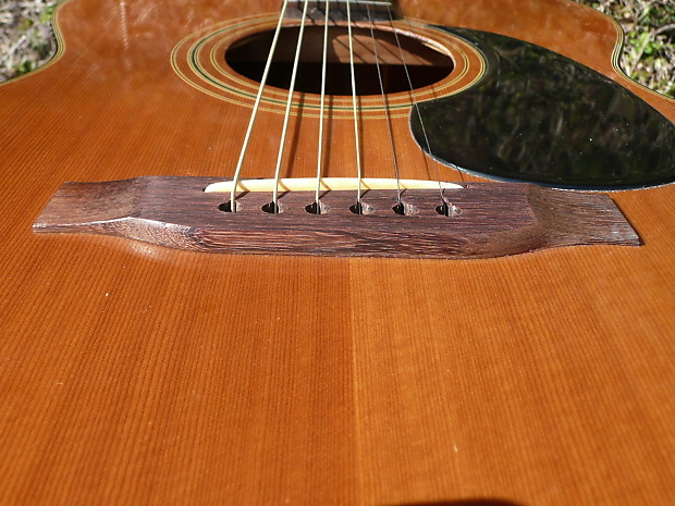 Tokai HummingฺBird Custom F100 sound test - YouTube